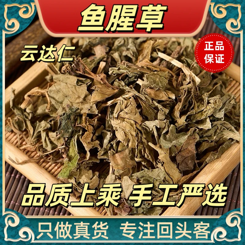 云达仁【鱼腥草】新鲜 新货现挖鱼腥草正品原材料当季湖北特产包邮