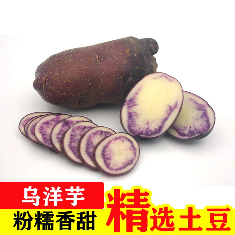 福奶奶云南丽江高原乌洋芋老品种好吃的土豆面面的紫皮洋芋马铃薯