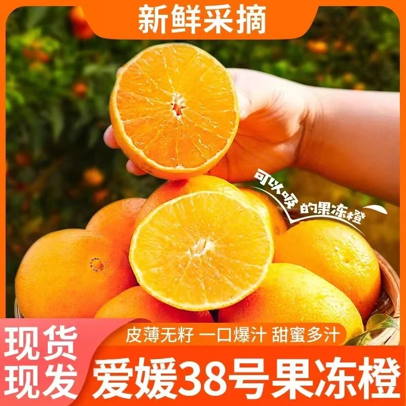 正宗眉山爱媛38号果冻橙手剥橙子当季新鲜水果孕妇整箱w