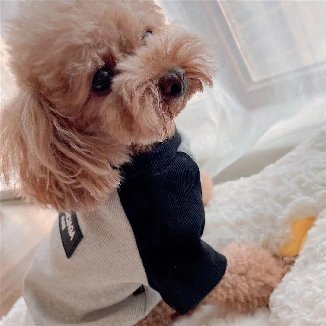 L狗狗衣服春秋款马尔济斯宠物猫咪休闲衣服潮牌泰迪比熊博美防掉