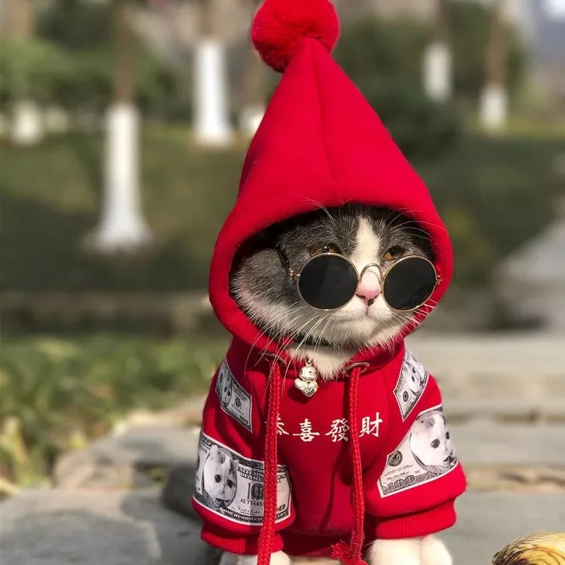喜庆猫咪衣服防掉毛春秋冬款狗狗小型幼犬猫卫衣红色宠物新年装潮