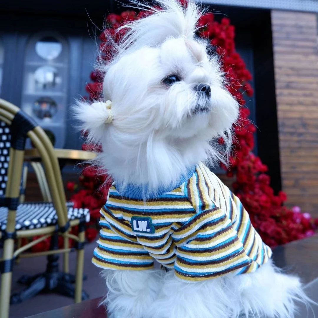 狗狗秋冬衣服保暖弹力条纹可爱短袖宠物衣服猫咪比熊小型犬防掉毛
