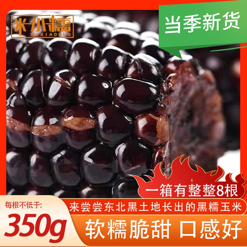 米小糯(特)东北天然黑糯玉米零添加0防腐糯早餐代餐真空≥350g*8根