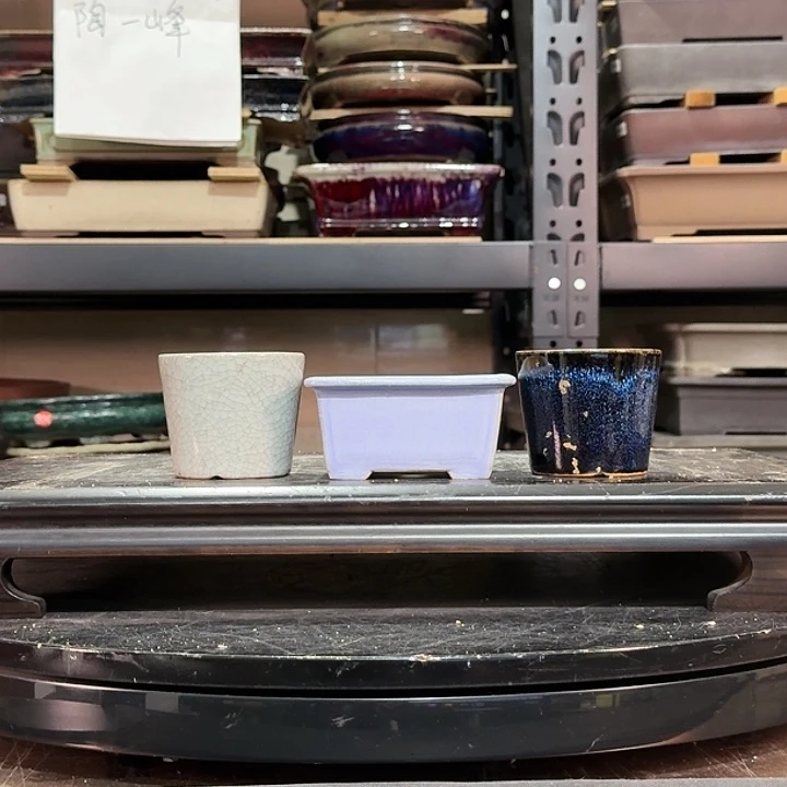 红陶C****陶d d f f g g g g