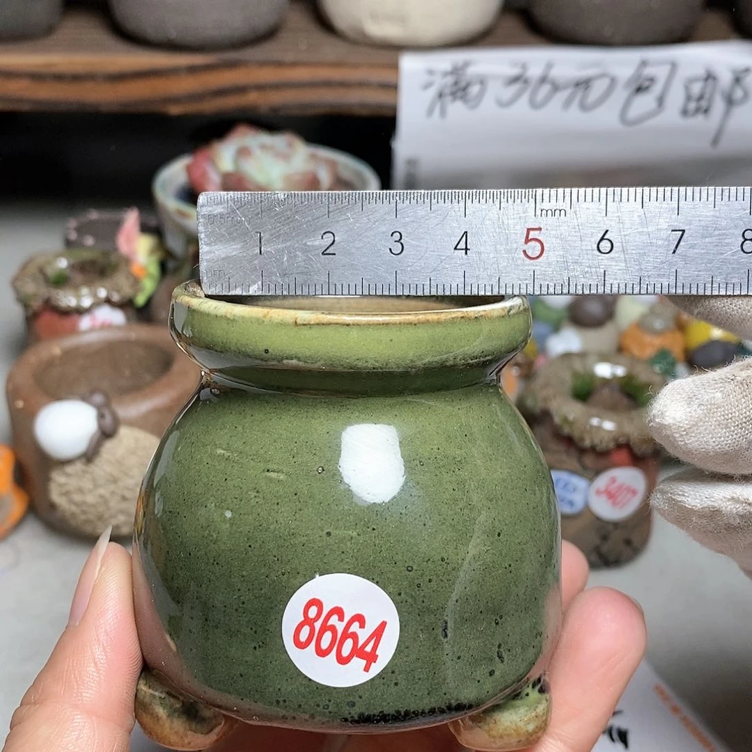 红陶20CM（含）-50CM（不含）