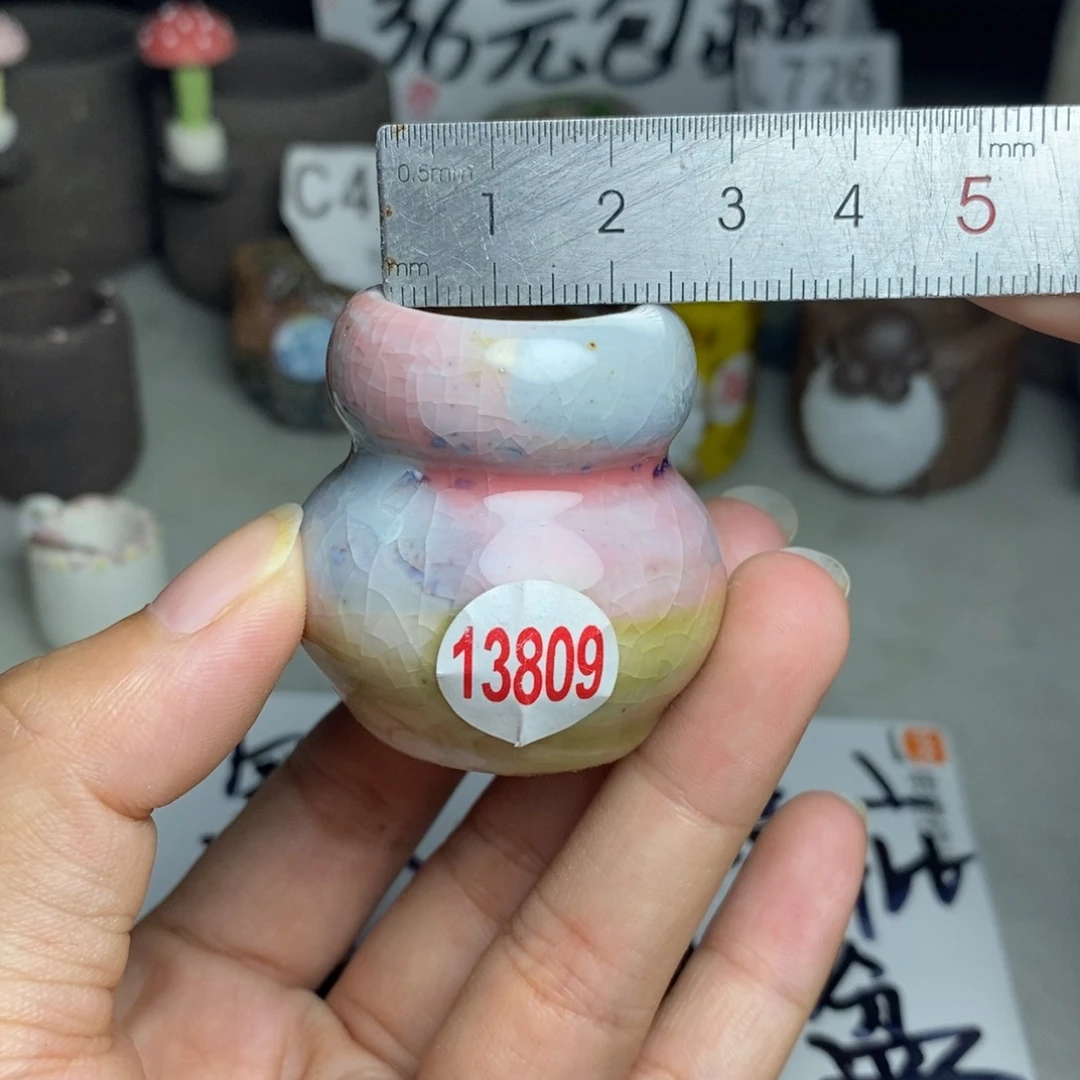 红陶20CM（含）-50CM（不含）