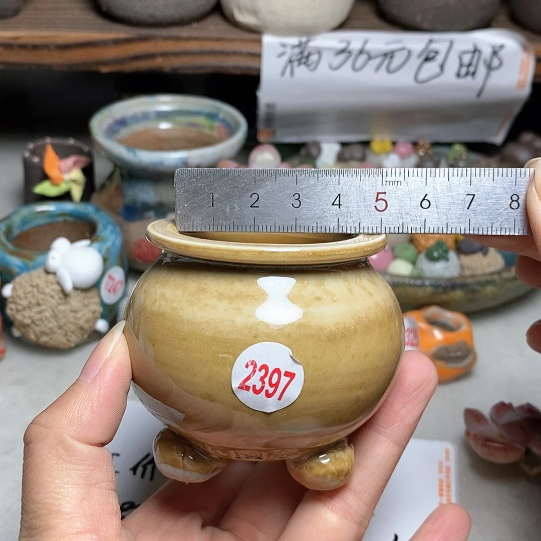 红陶20CM（含）-50CM（不含）