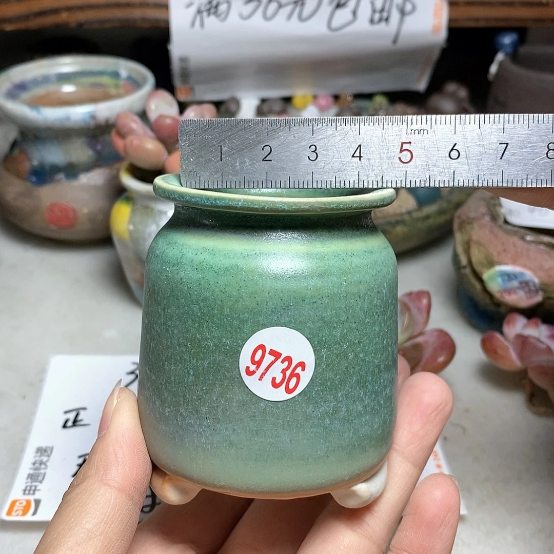 红陶20CM（含）-50CM（不含）