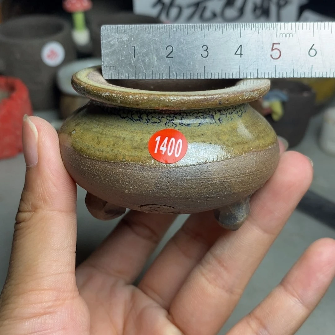 红陶20CM（含）-50CM（不含）