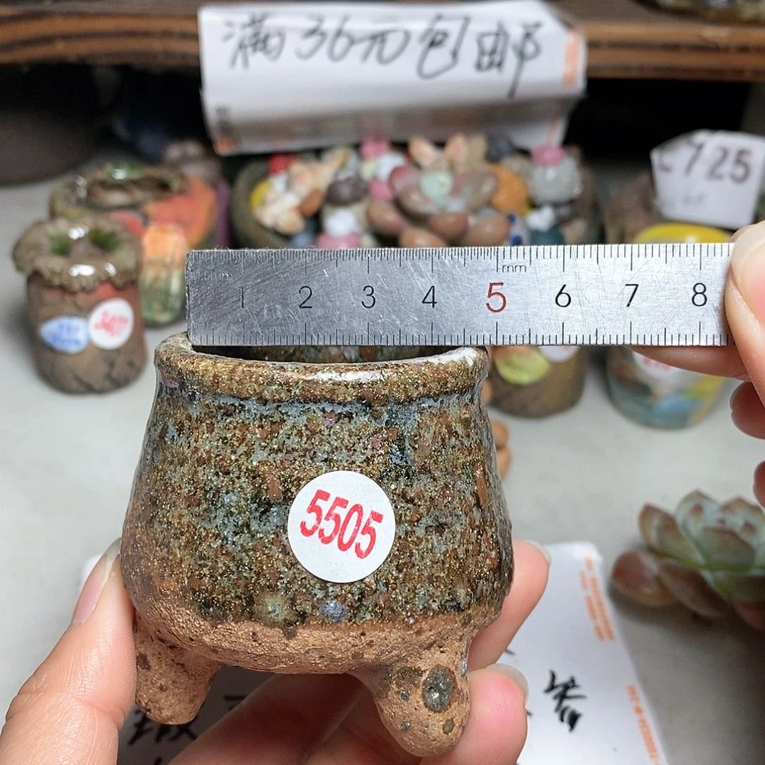 红陶拍五个送一个