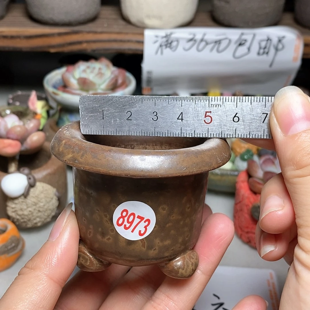 红陶20CM（含）-50CM（不含）