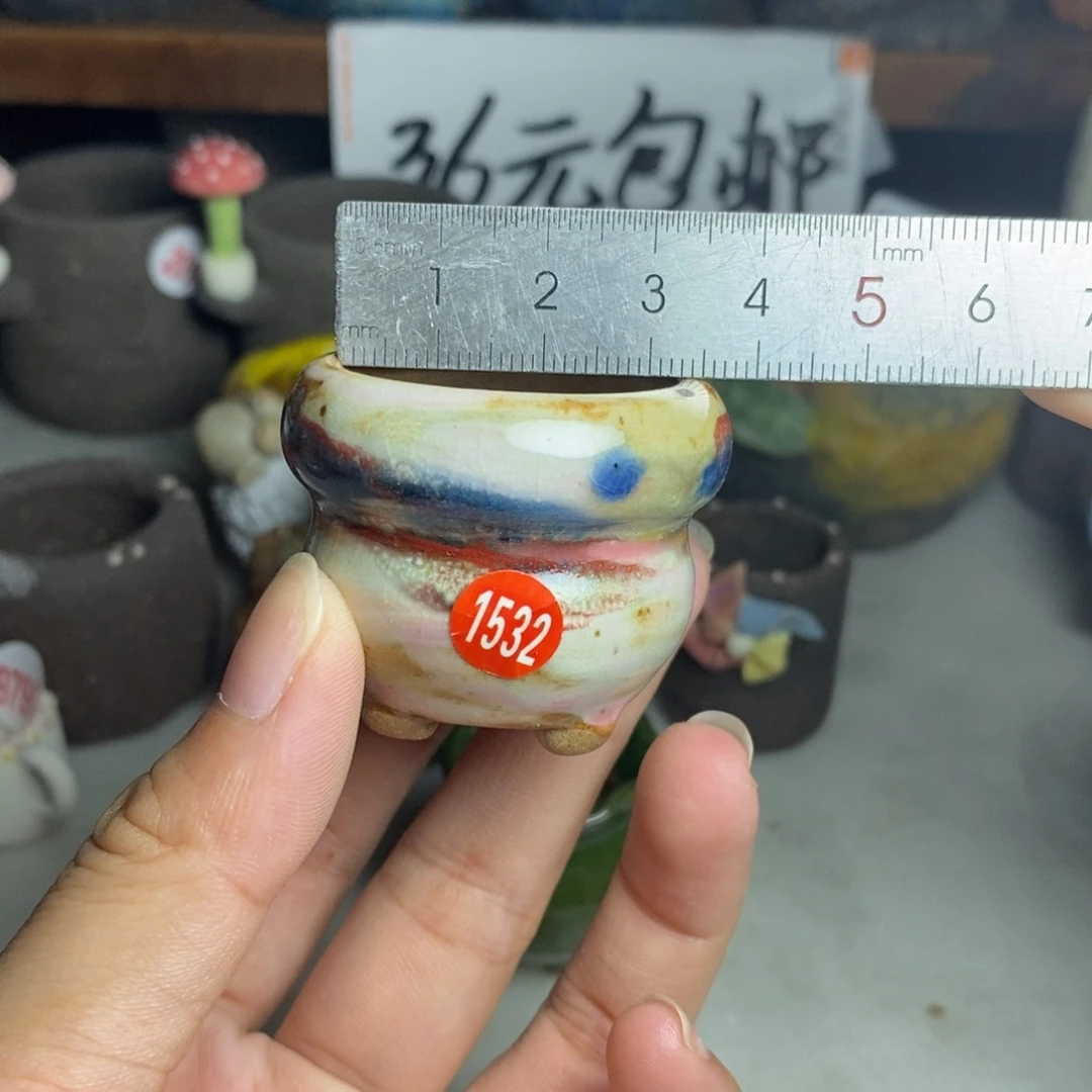 红陶20CM(含)-50CM(不含)