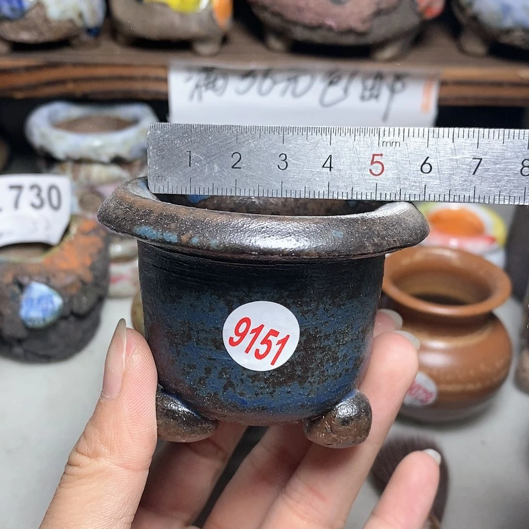 红陶20CM（含）-50CM（不含）