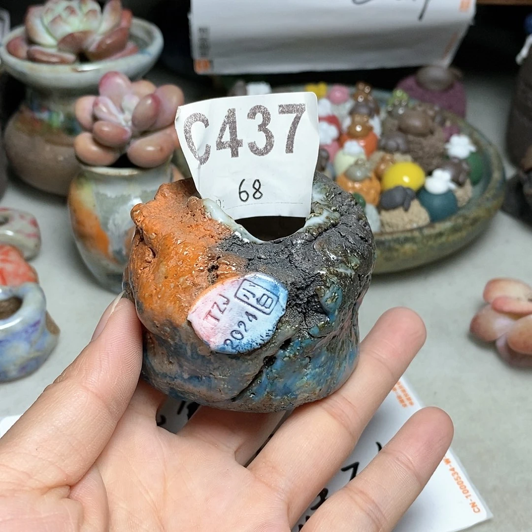 红陶20CM（含）-50CM（不含）在**方处理不退不换