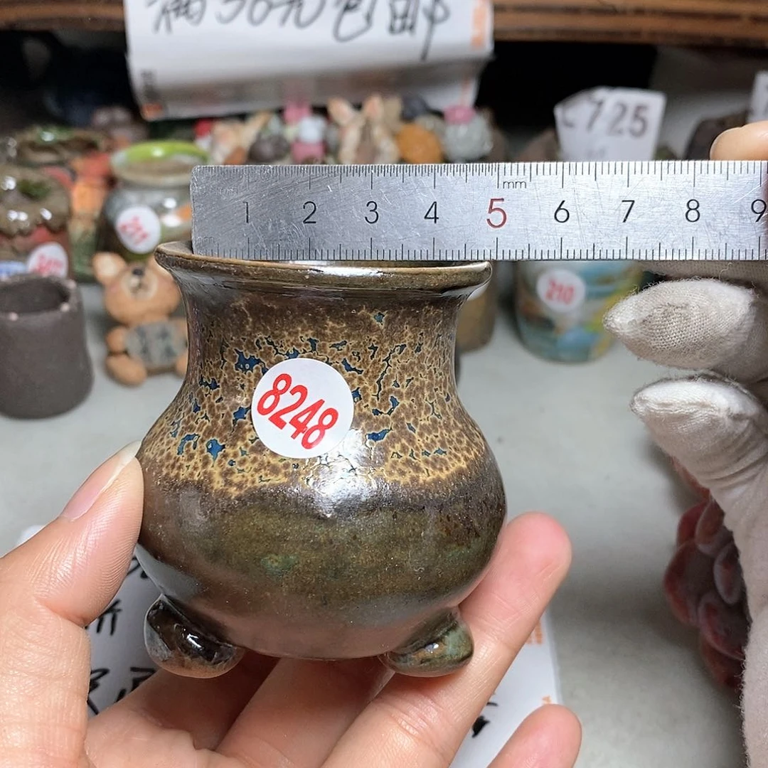 红陶20CM（含）-50CM（不含）