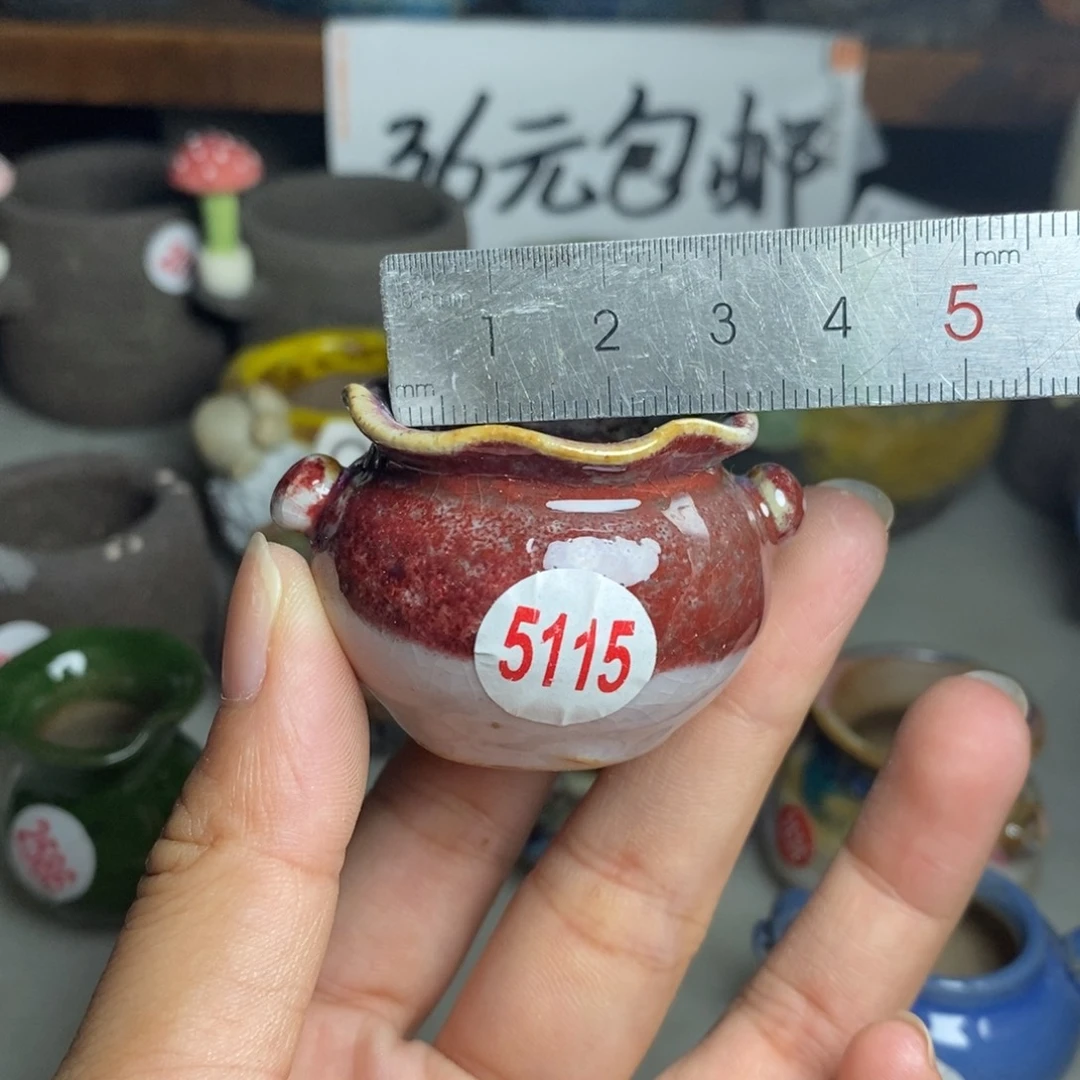 红陶20CM（含）-50CM（不含）