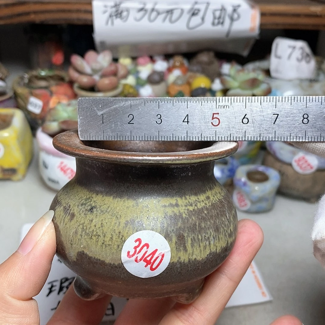 红陶20CM（含）-50CM（不含）