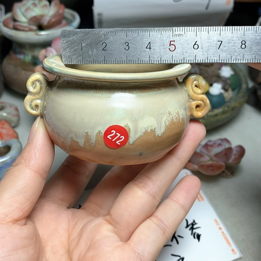红陶20CM（含）-50CM（不含）