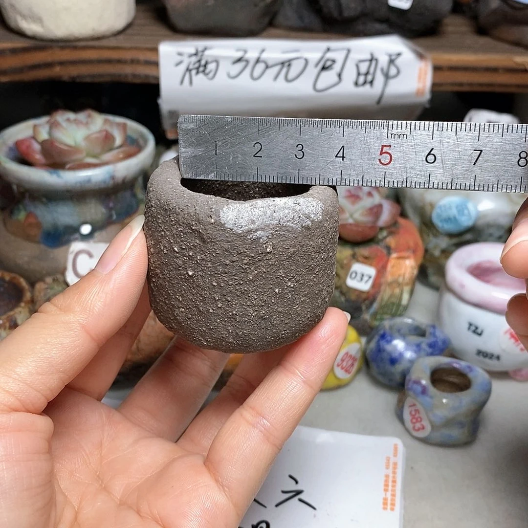 红陶20CM（含）-50CM（不含）处理
