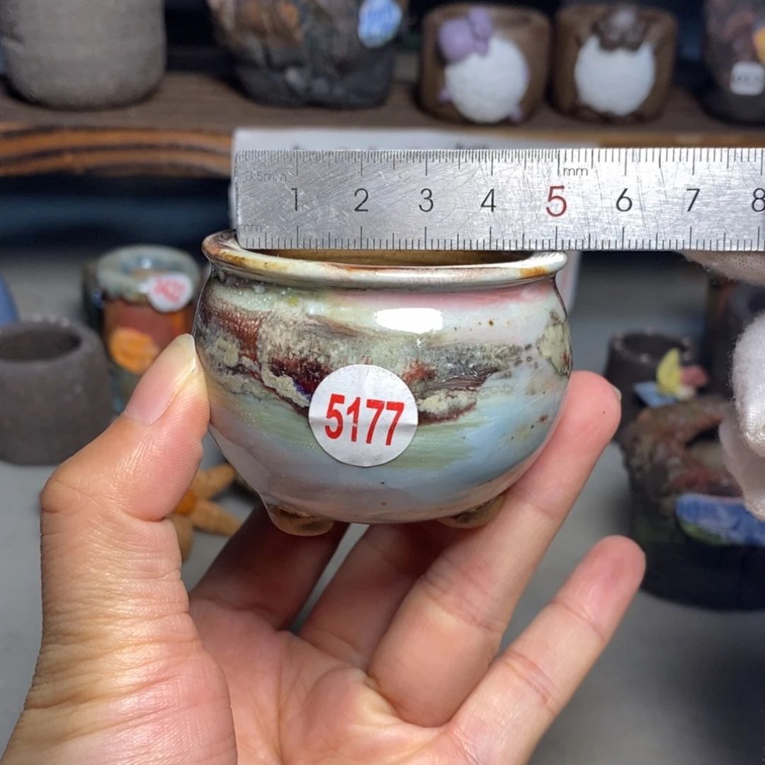 红陶20CM（含）-50CM（不含）