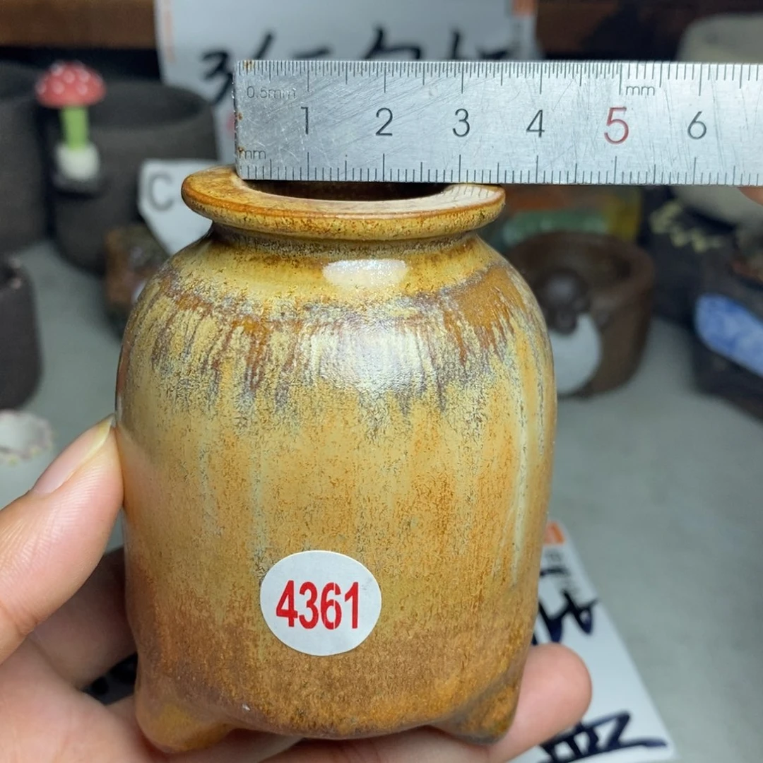 红陶20CM（含）-50CM（不含）