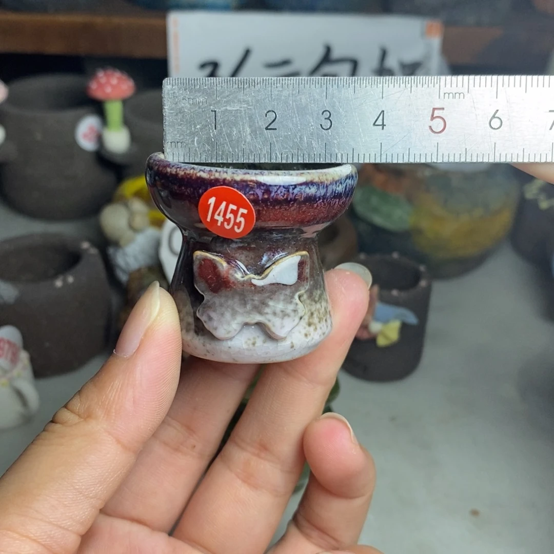 红陶20CM（含）-50CM（不含）