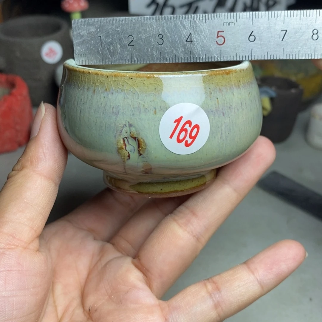 红陶20CM（含）-50CM（不含）