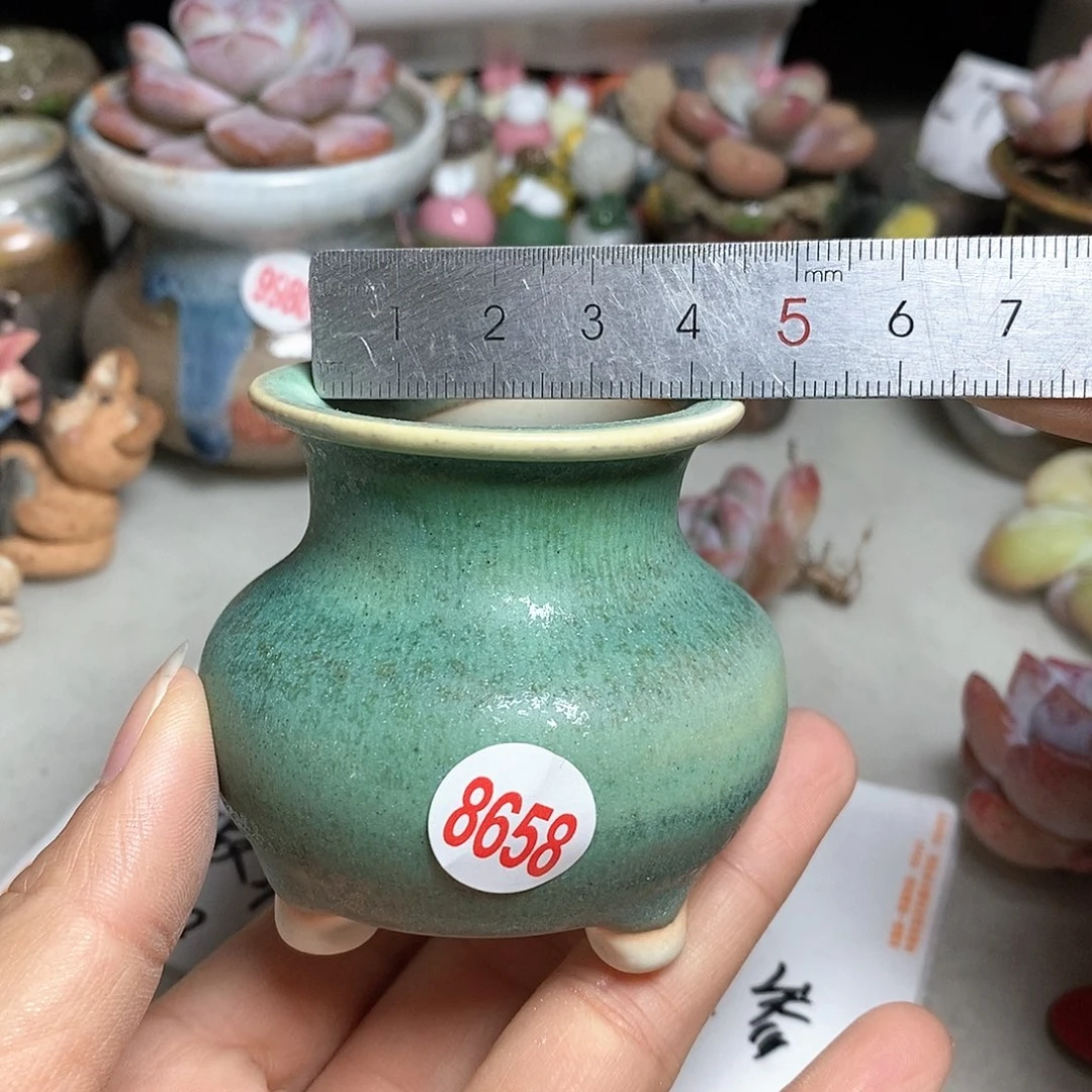 红陶拍五个送一个