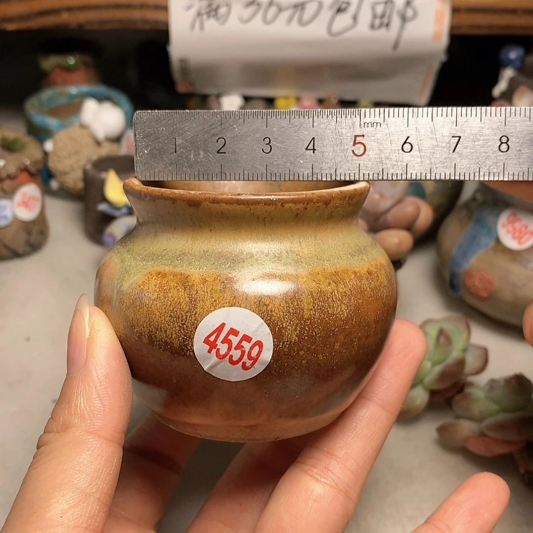 红陶20CM(含)-50CM(不含)