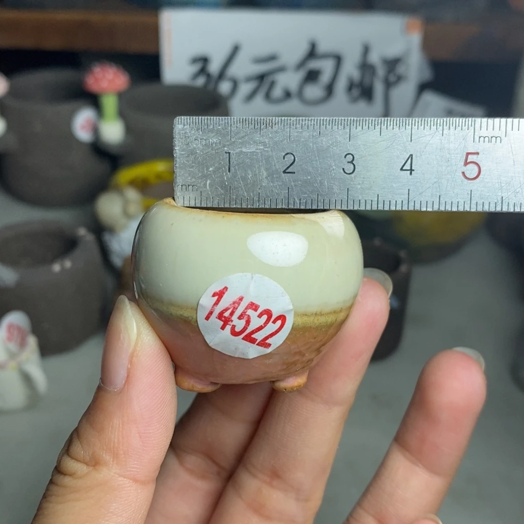 红陶20CM（含）-50CM（不含）