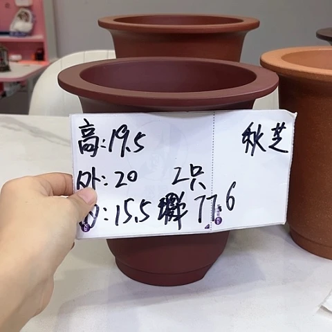 红陶20CM（含）-50CM（不含）
