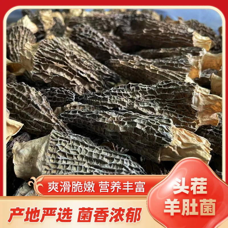 海庆堂四川羊肚菌干货6-9公分