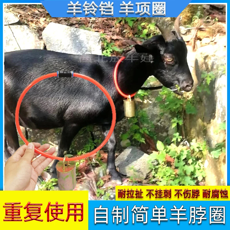 放羊神器懒人羊项圈自制自动扣牛羊铃铛挂号牌养殖羊脖环羊项圈套