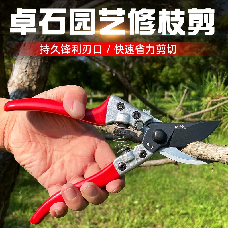 修花种花剪刀修树枝果树剪花剪园林园艺工具剪刀粗枝高枝剪子家用