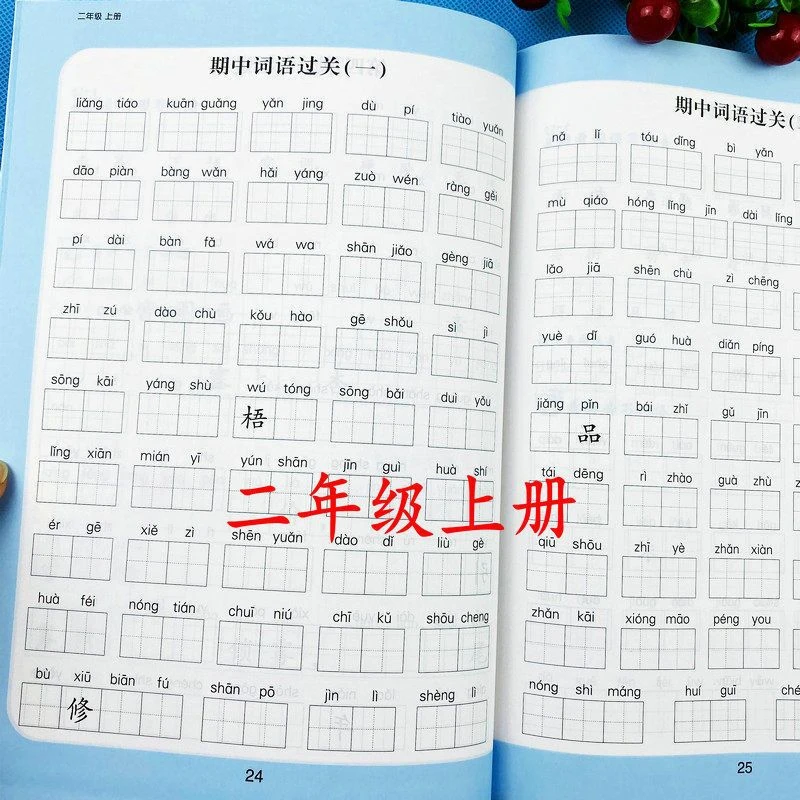 人教版二年级上册看拼音写词语生字注音语文课本教材同步专项训练