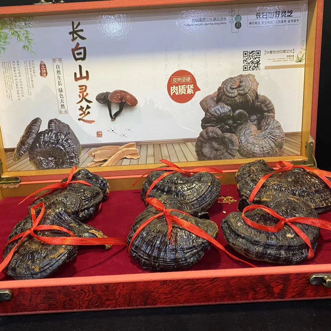 精品高端灵芝礼盒 九