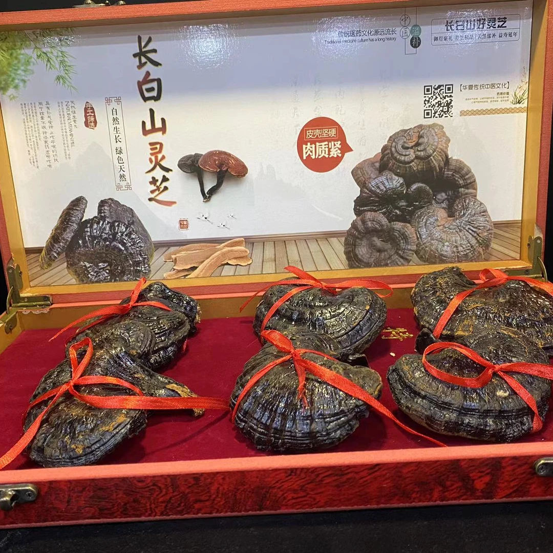 1高端精选灵芝 九