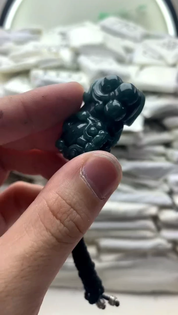 【闪购商品】翡翠颈饰未镶嵌貔貅z