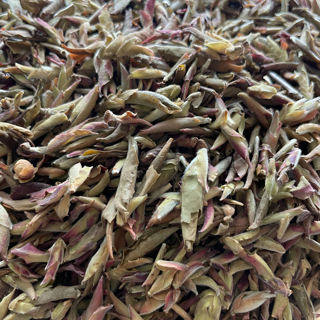 2025年冰岛老寨散料普洱茶 紫芽散茶100克芽孢加100克花苞