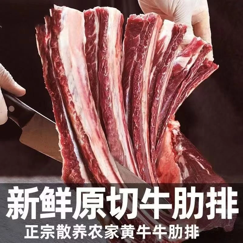 HC-新鲜速冻牛肋排草原牛肋排排骨牛肋排带箱5斤 顺丰冷链包邮
