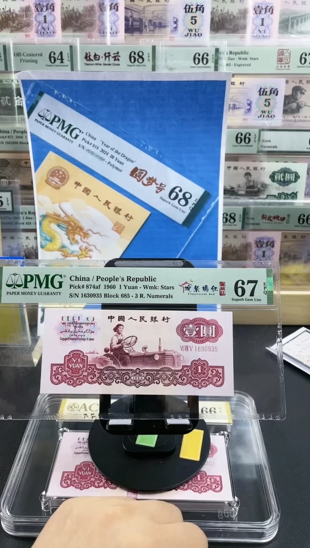 【闪购商品】姹紫嫣红一品红67分无47