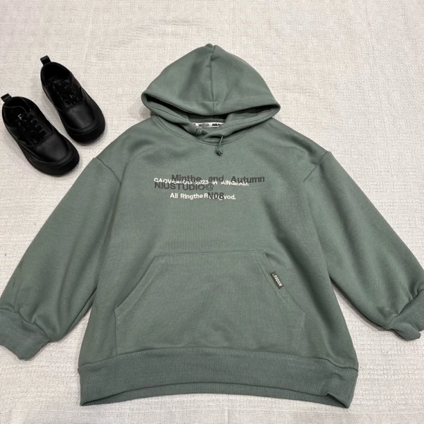 36739高端潮流时尚百搭休闲加绒连帽卫衣B7-2-1