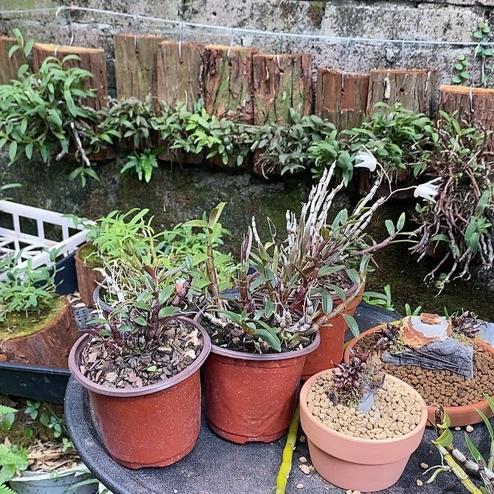 米*漂亮米铁111111