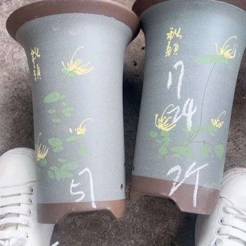 紫砂花盆57………………