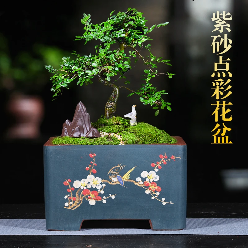 精品四方花盆紫砂盆景花盆高档花盆正方形盆景盆纯手工中国风花盆