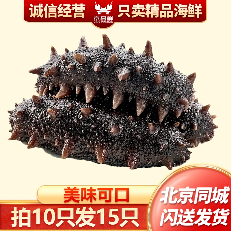 海参按只卖拍10发15