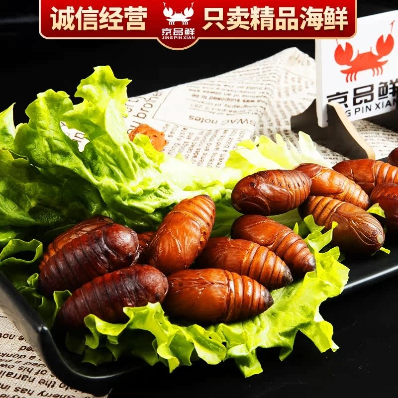 蚕蛹