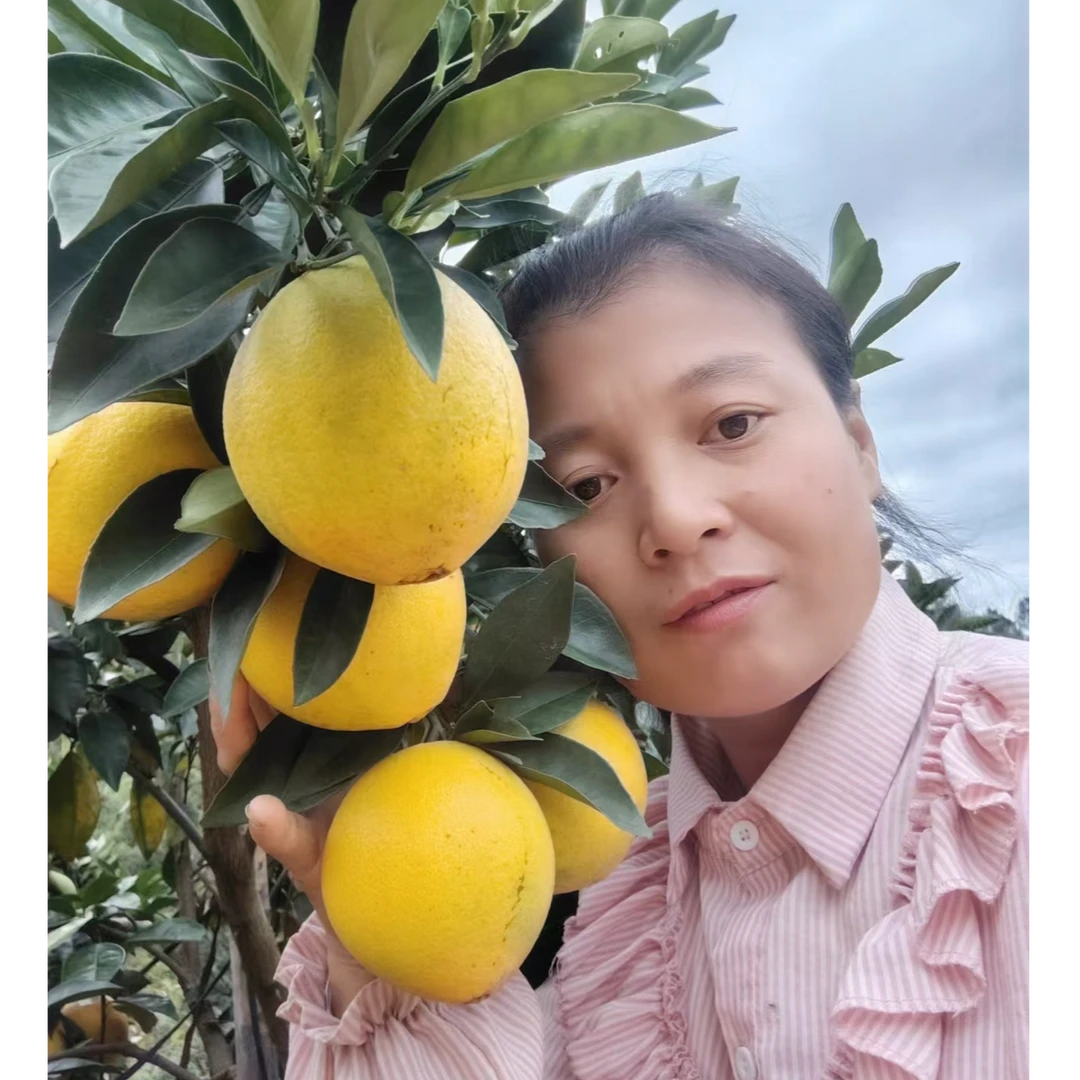 三百山赣南脐橙自家果园，现摘现发孕妇绿色水果