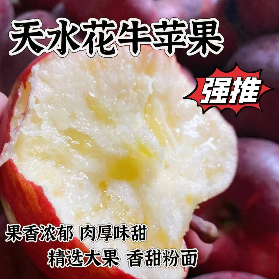 甘肃天水正宗花牛苹果产地直发脆粉两吃宝宝辅食薄皮苹果批发