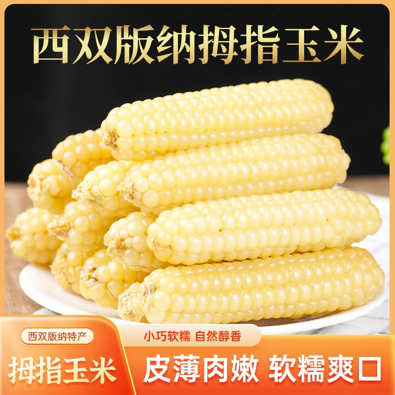云南西双版纳拇指小玉米新鲜手指香糯玉米早餐及时真空10根/20根